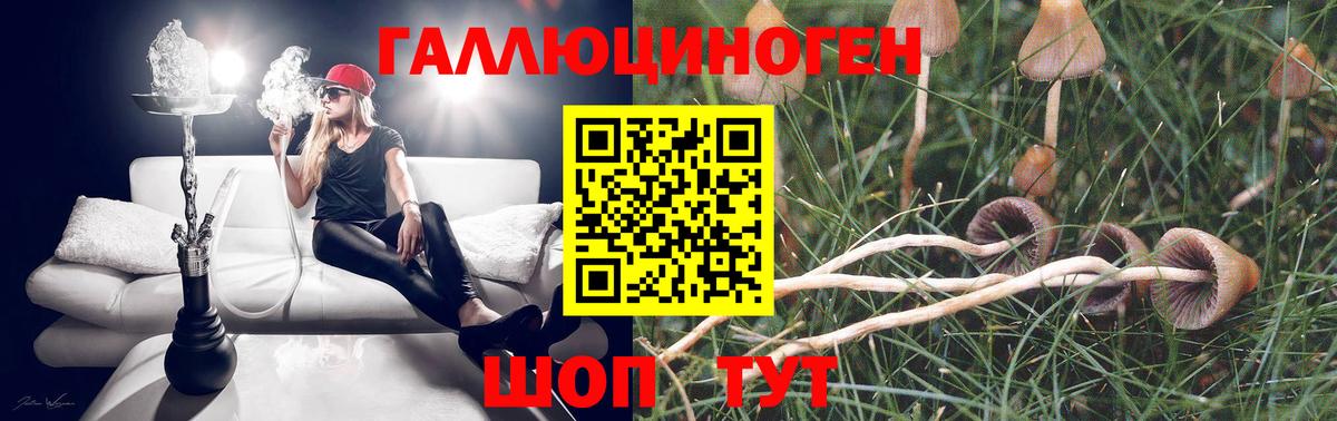 Краснокаменск  Псилоцибиновые грибы мухоморы  Вход с VPN 