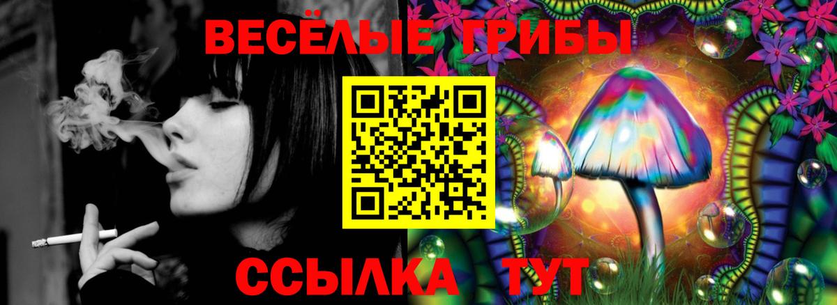 Псилоцибиновые грибы Psilocybe Краснокаменск